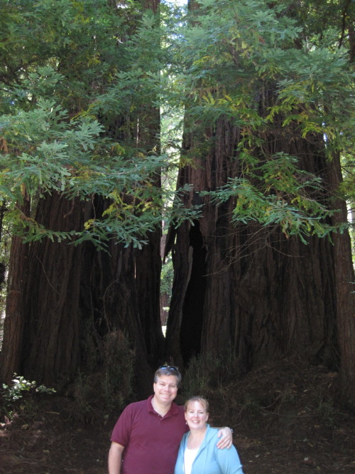 Them's big trees back there