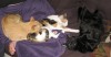 Sleeping trio