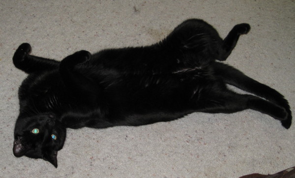 Blackjack upside-down