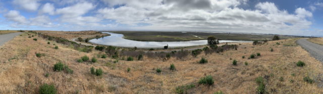 Panoramic view from Byxbee Park