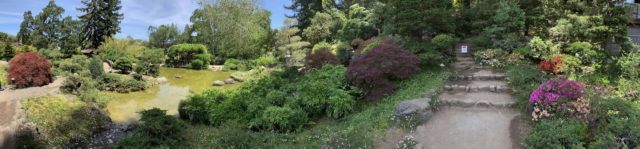 Panorama from below the Moon Viewing House at Hakone Gardens