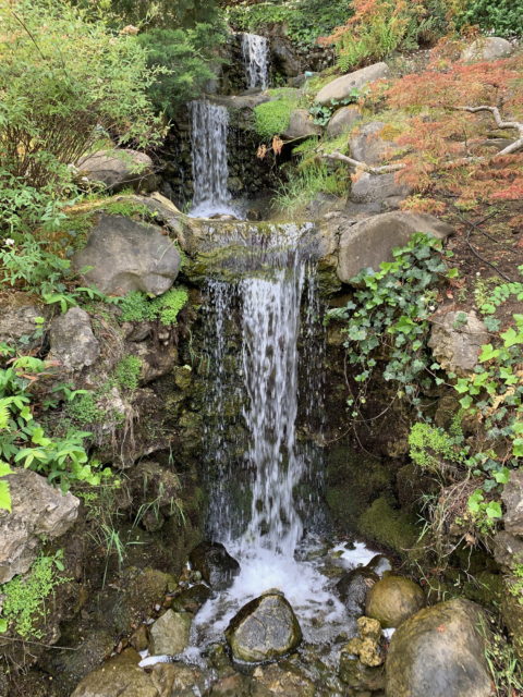 Waterfalls ay Hakone Gardens